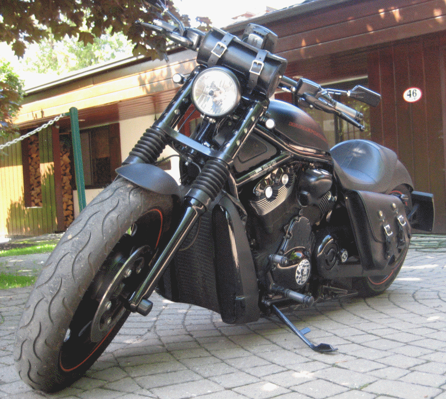 v rod muscle bags